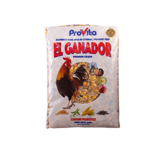 El Ganador