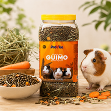Provita Guinea Pig Feed Pellet Blend, Small Animal Food, 4 lb. Jar
