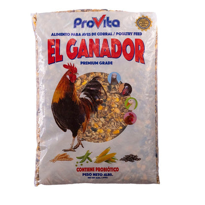 El Ganador
